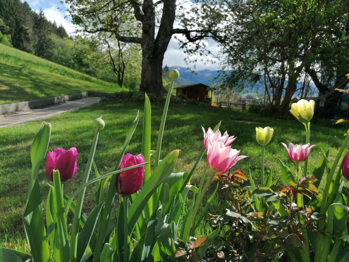 Hoerandlhof Aigen im Ennstal Buitenkant foto